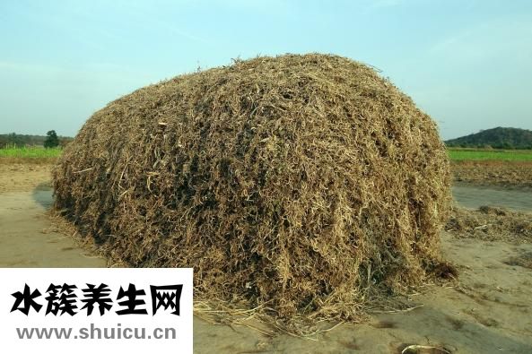 舌头被烫了怎么办（舌头烫伤的原因及治疗方法）