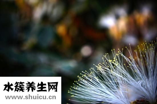 腰椎穿刺疼吗（腰椎穿刺疼痛是怎么回事）