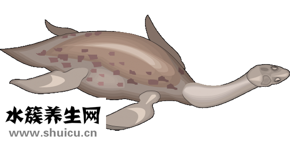斜颈怎么治