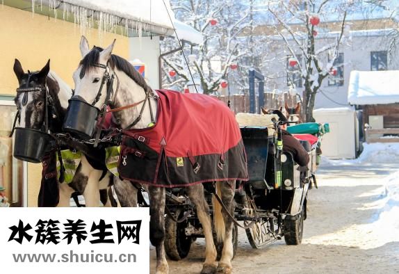 单核细胞计数偏低（单核细胞百分比偏低）
