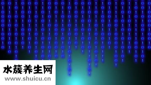 单核细胞计数偏低