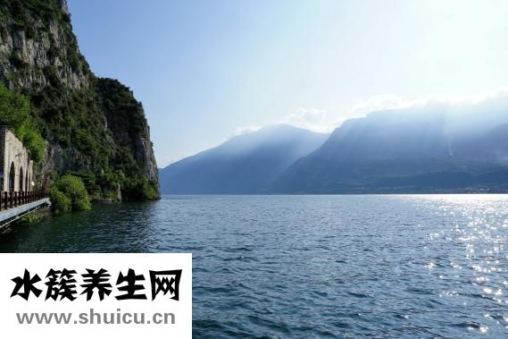 便秘喝什么茶