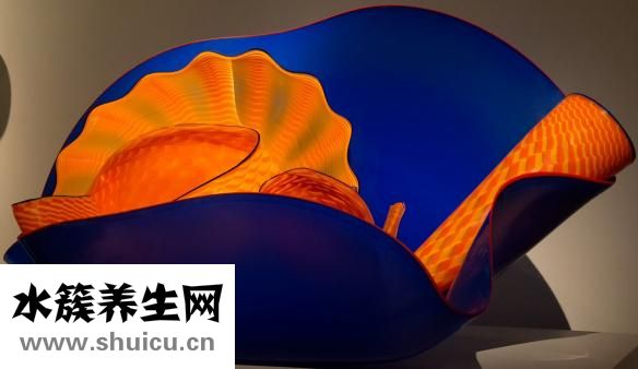 手掌发青的图片（手掌发红的图片及原因）