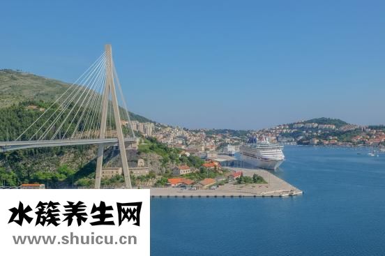 泰能抗生素
