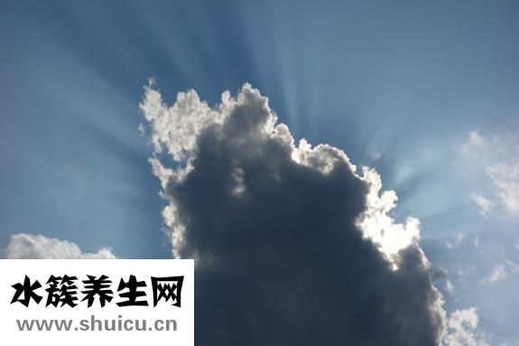 头孢氨苄颗粒