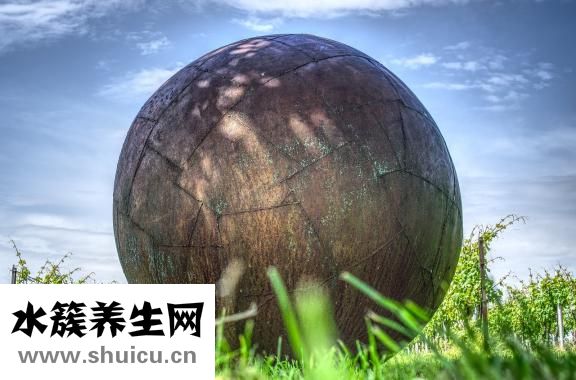 铁剂服用注意事项