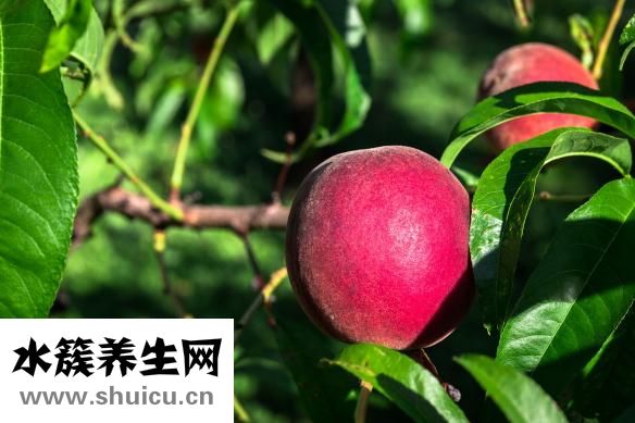 叻沙是什么