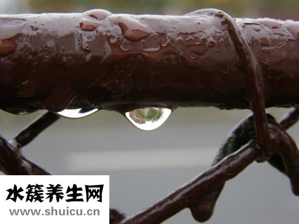 鳕鱼炖豆腐