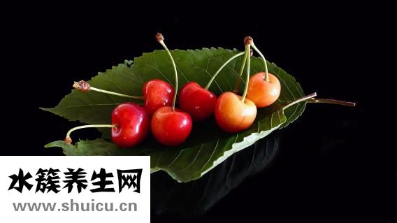 仙人球花图片