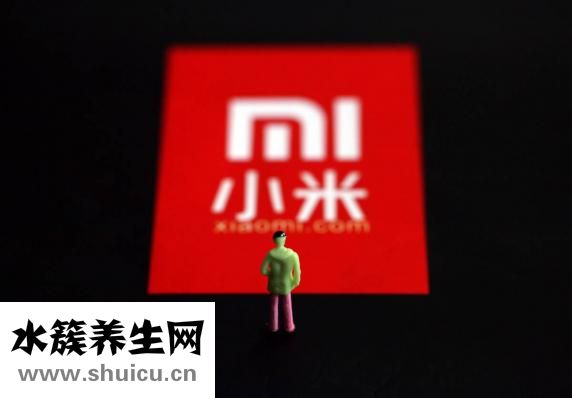 养胃小米粥