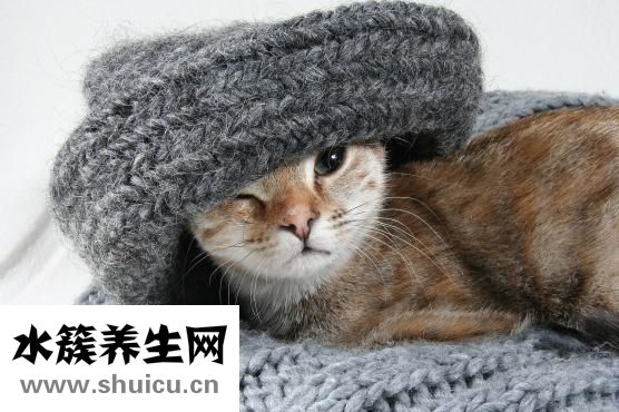 头发油是怎么回事