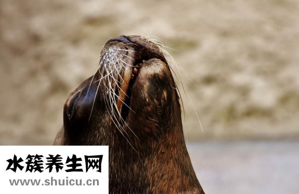 胃窦炎的症状