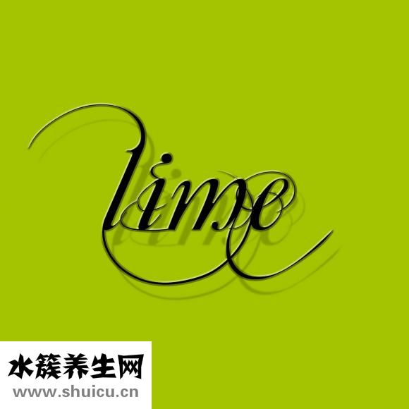 女贞子树图片