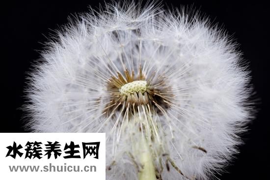 早上可以不洗脸吗
