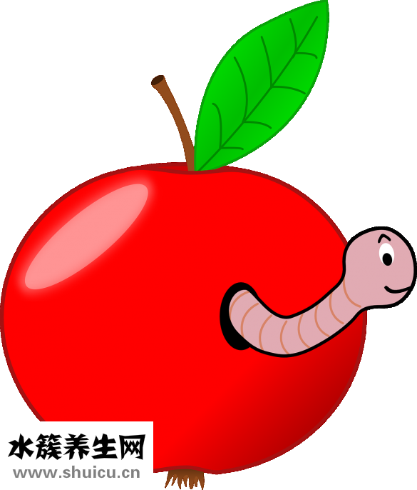 松鼠可以吃吗