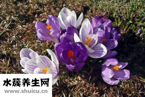 四维看男孩女孩诀窍