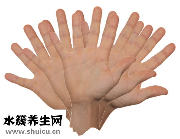 手指关节疼痛