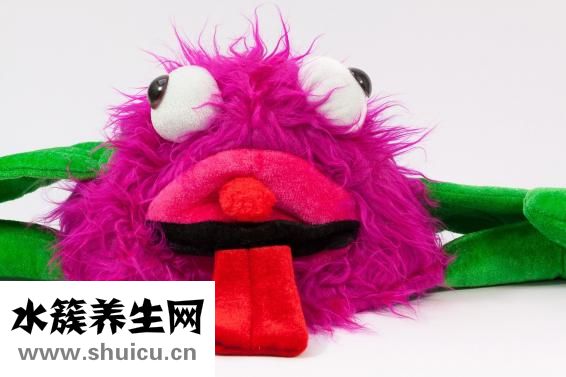 四味脾胃舒