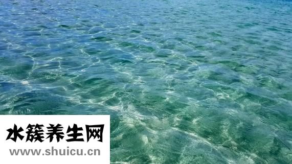 羊腿怎么炖