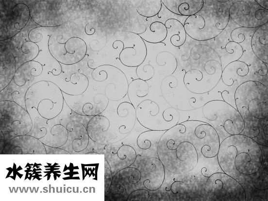 三七是什么