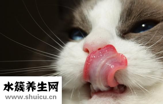 为什么会咬到舌头