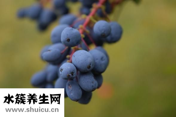 姨妈颜色深