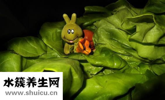 莴笋烧肚条