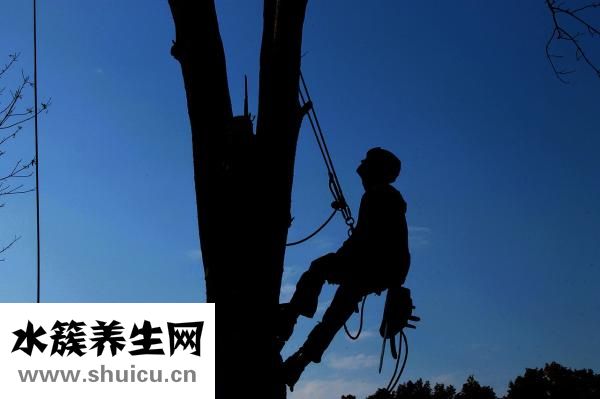 抑郁什么意思