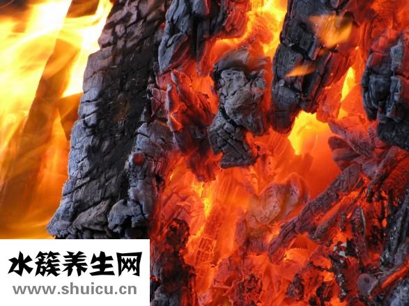 什么叫裙带菜