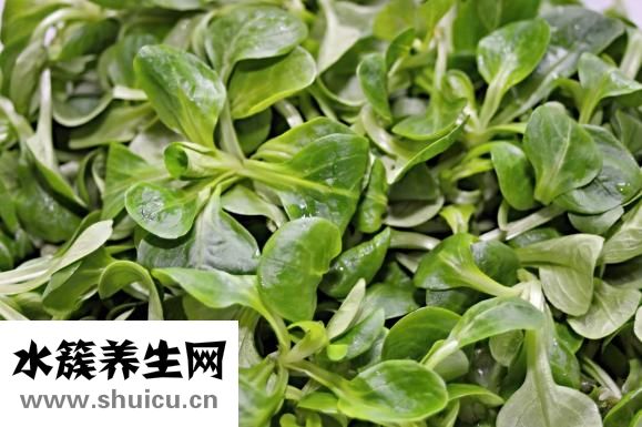 莴笋烧肚条