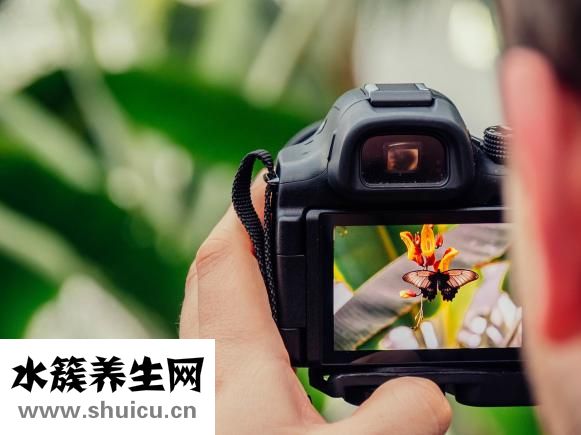 验孕棒怀孕的图片