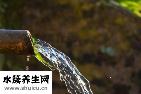 十大补钙食物排行榜