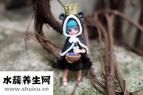 盐酸特拉唑嗪片