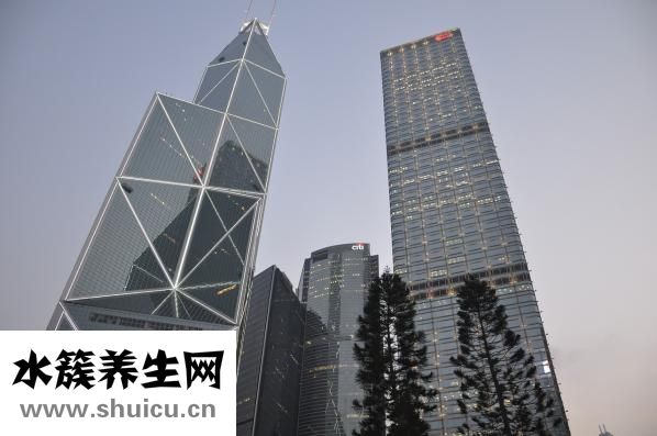 抑郁什么意思