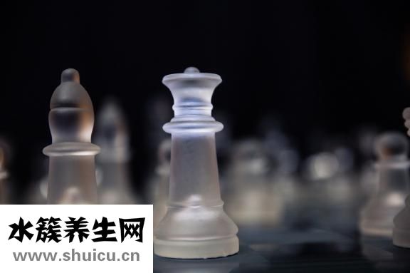 什么可以泡酒