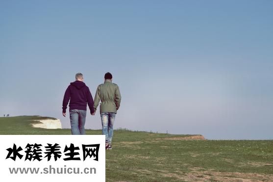 神应养真丹
