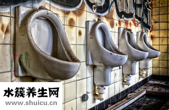 透骨草的图片