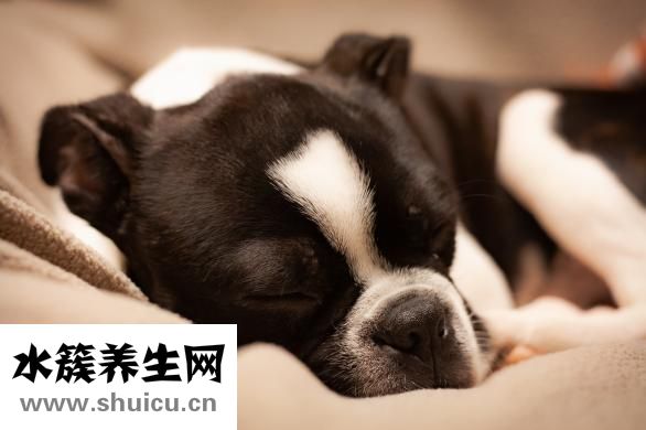 膝盖疼怎么回事