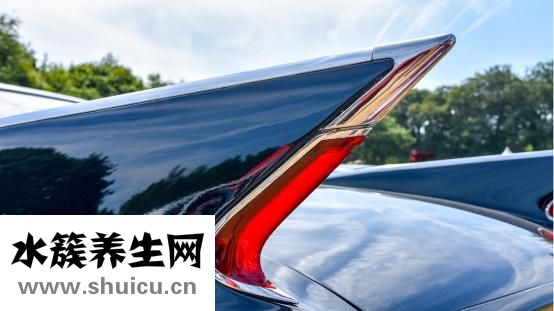 生姜怎么吃去湿气