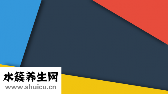 什么可以泡酒