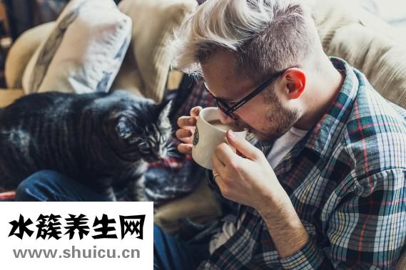 神应养真丹