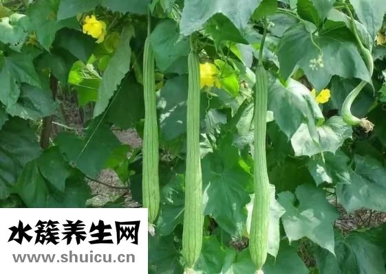 头疼恶心呕吐