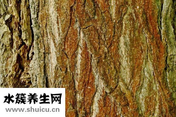 苏子油的功效与作用