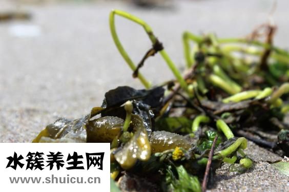 茎突过长症状（劲突过长症状图片）