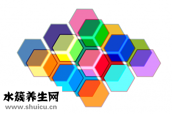 火腿的吃法