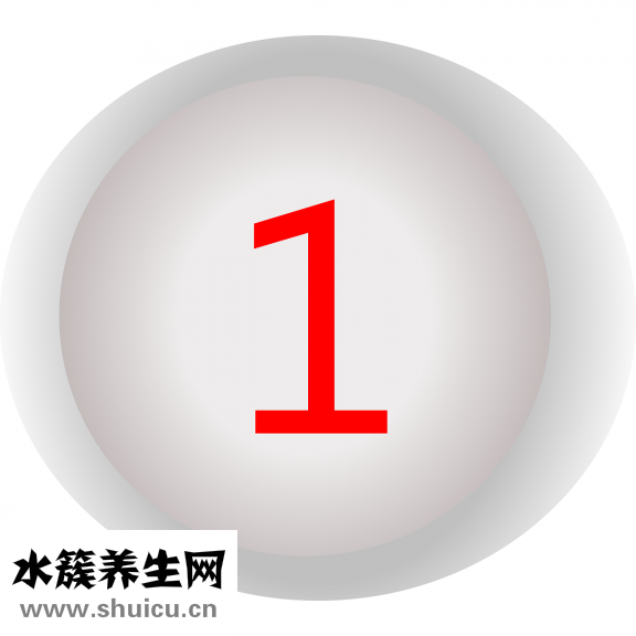 心率快怎么治