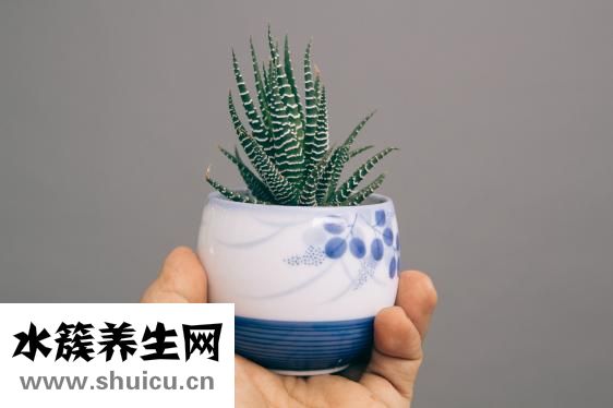 脱皮是什么原因