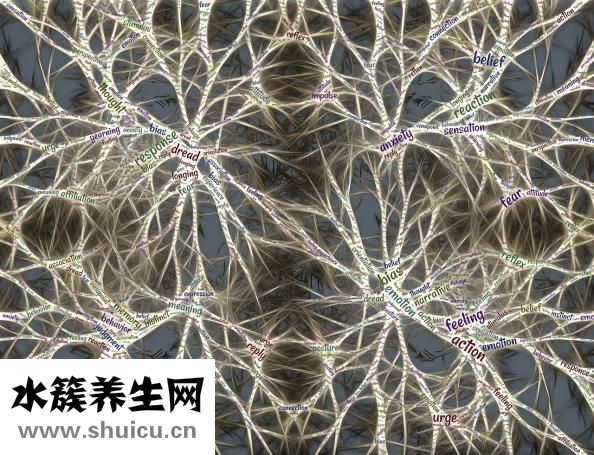 叶酸有什么功效