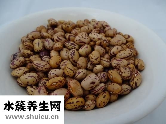 鲱鱼罐头有什么营养