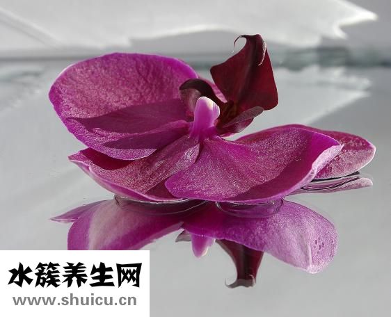 微创无痛人流
